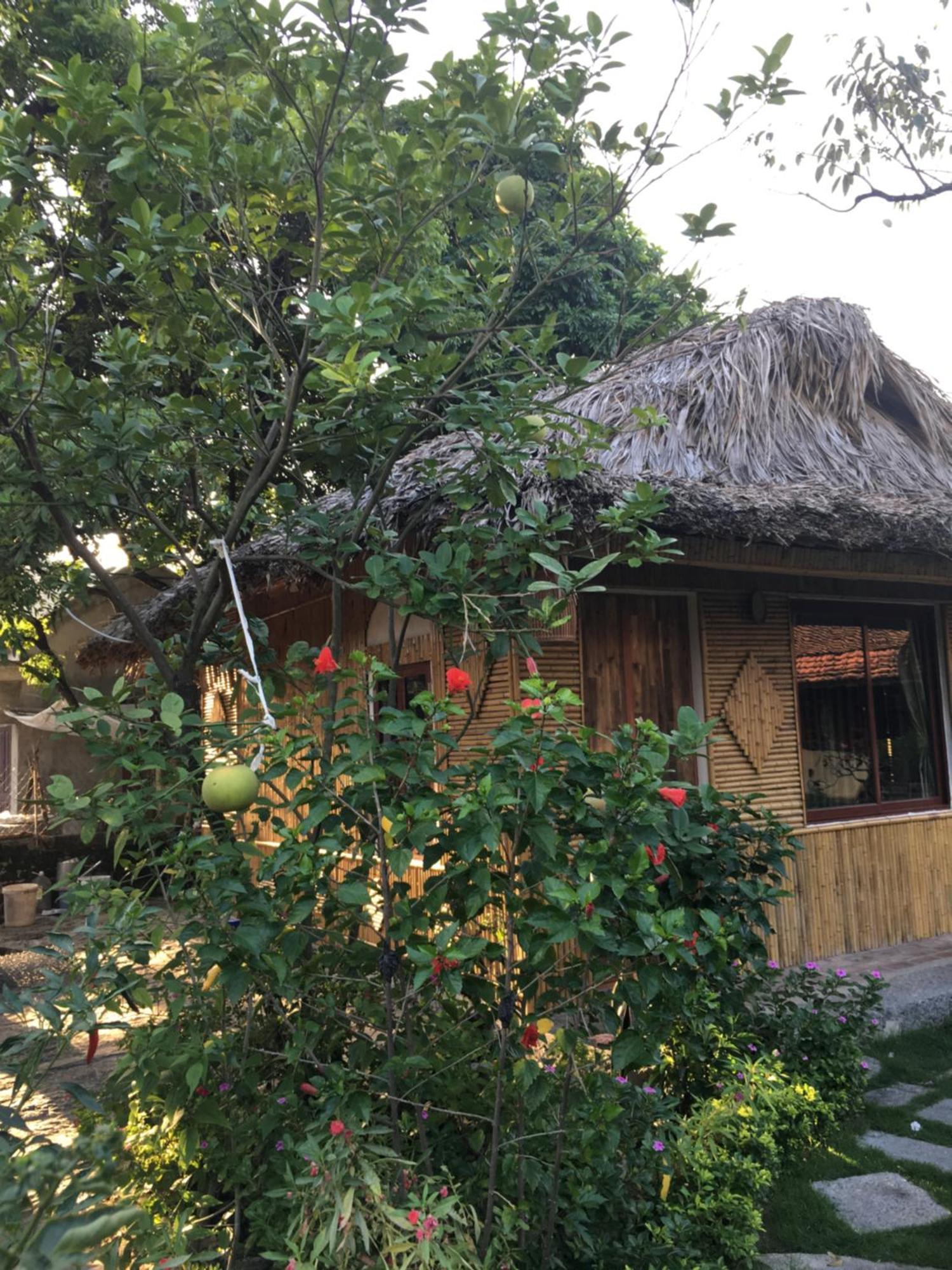 Tam Coc Palm House Villa Ninh Binh Exterior photo