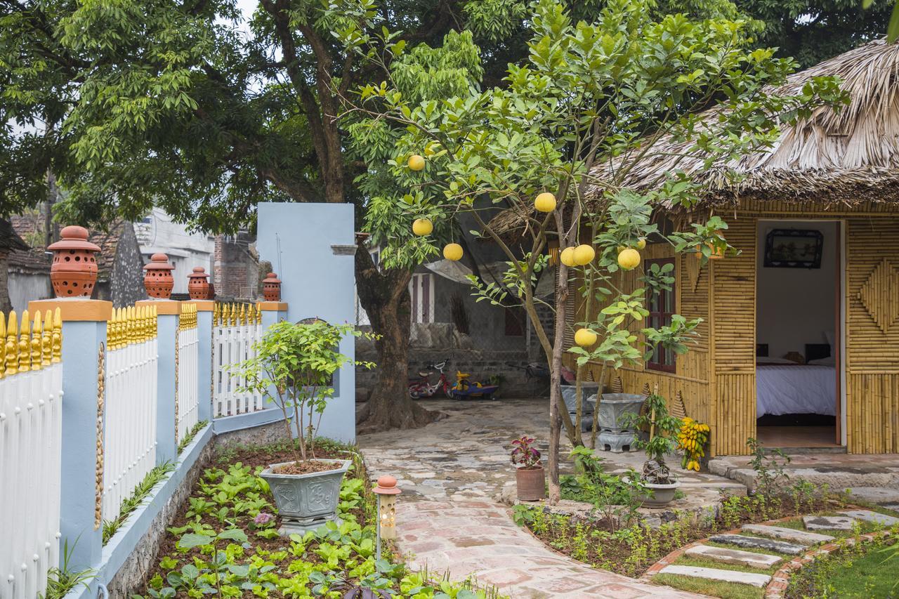 Tam Coc Palm House Villa Ninh Binh Exterior photo